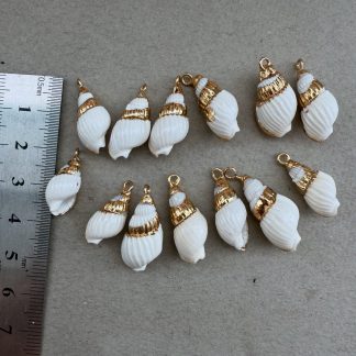 Мушля Вита, відтінок біла , позолота по латуні
.
Розмір 12-20 мм
.
Ціна за шт